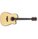 IBANEZ AW3010CE LG Elektro-akustična kitara
